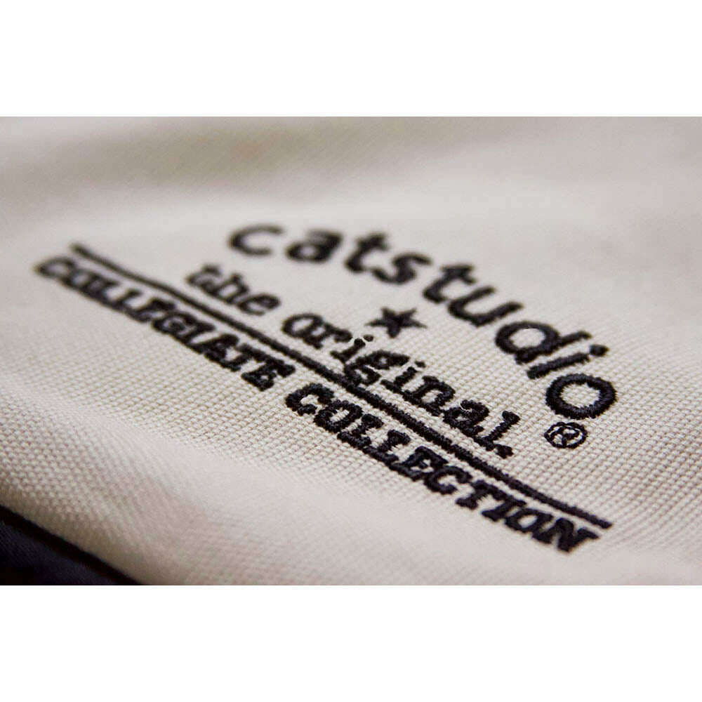 Texas, University of Collegiate Embroidered Pillow by CatStudio