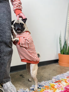 Poppy Pullover matching adult & pet apparel detail 8
