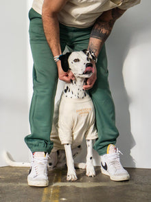 Fleece Jogger (Adult) adult apparel detail 2