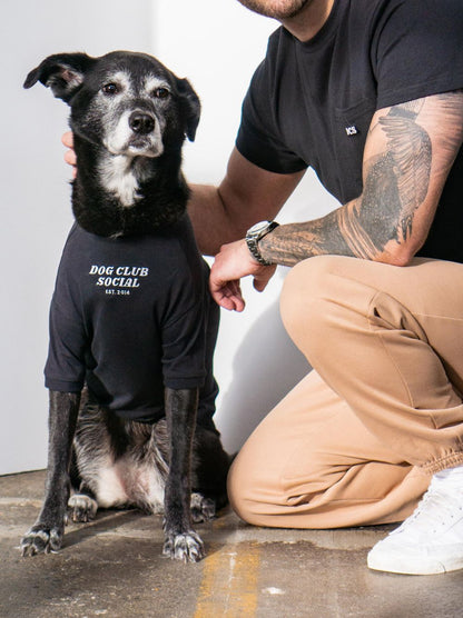 Embroidered Tee pet apparel detail 5