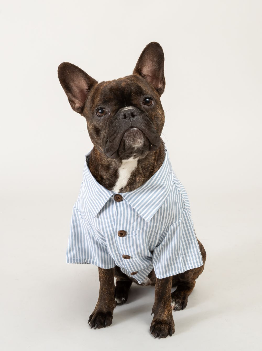 Hamptons Set matching adult & pet apparel detail 3