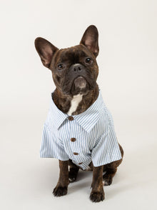 Hamptons Set matching adult & pet apparel detail 3