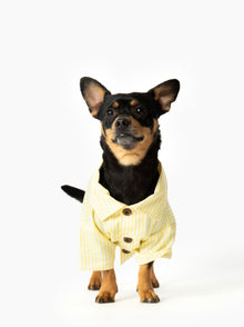 Nantucket Set matching adult & pet apparel detail 3
