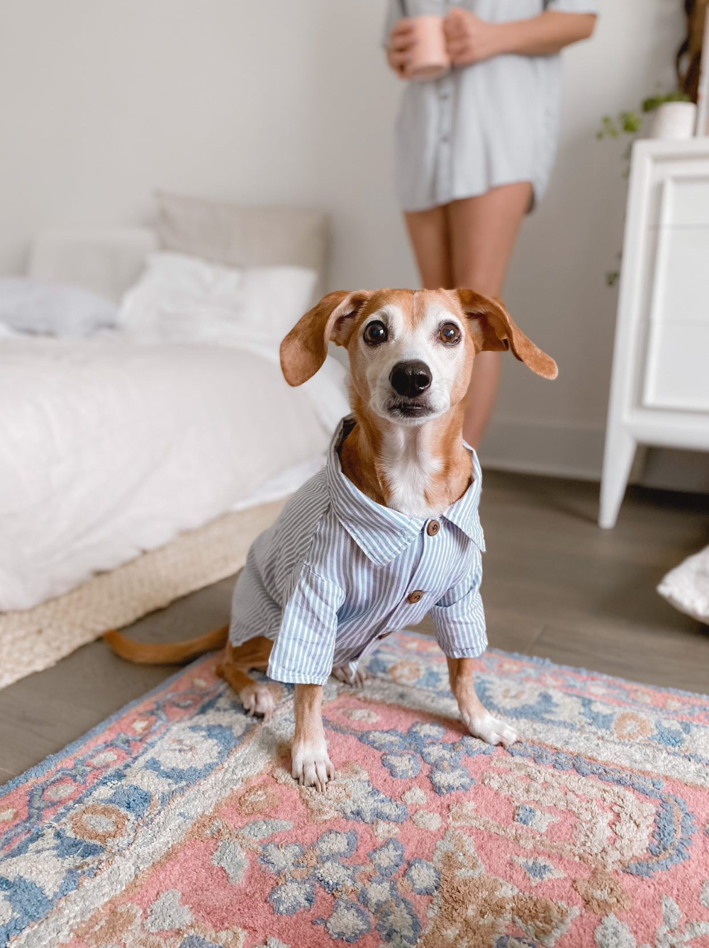 Hamptons Set matching adult & pet apparel detail 10