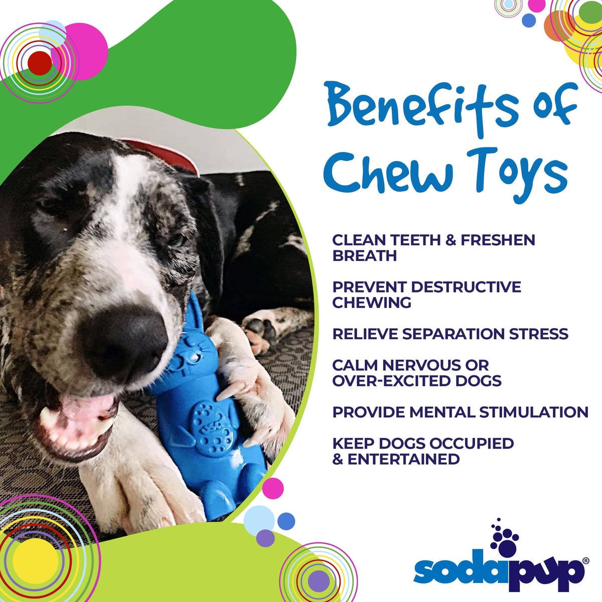 Bunny Nylon Chew Toy for Aggressive Chewers | Durable & USA Made