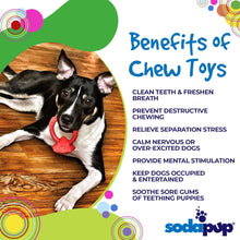 Diamond Ring Nylon Teething Ring for Puppies | Durable & USA Made