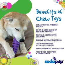 Fish Bone Nylon Dog Toy for Aggressive Chewers | USA Made | SodaPup