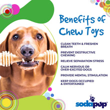 Honey Bone Nylon Dog Toy for Aggressive Chewers | USA Made | SodaPup