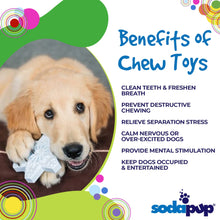 Snowflake Nylon Dog Chew Toy for Aggressive Chewers | USA Made & FDA Compliant
