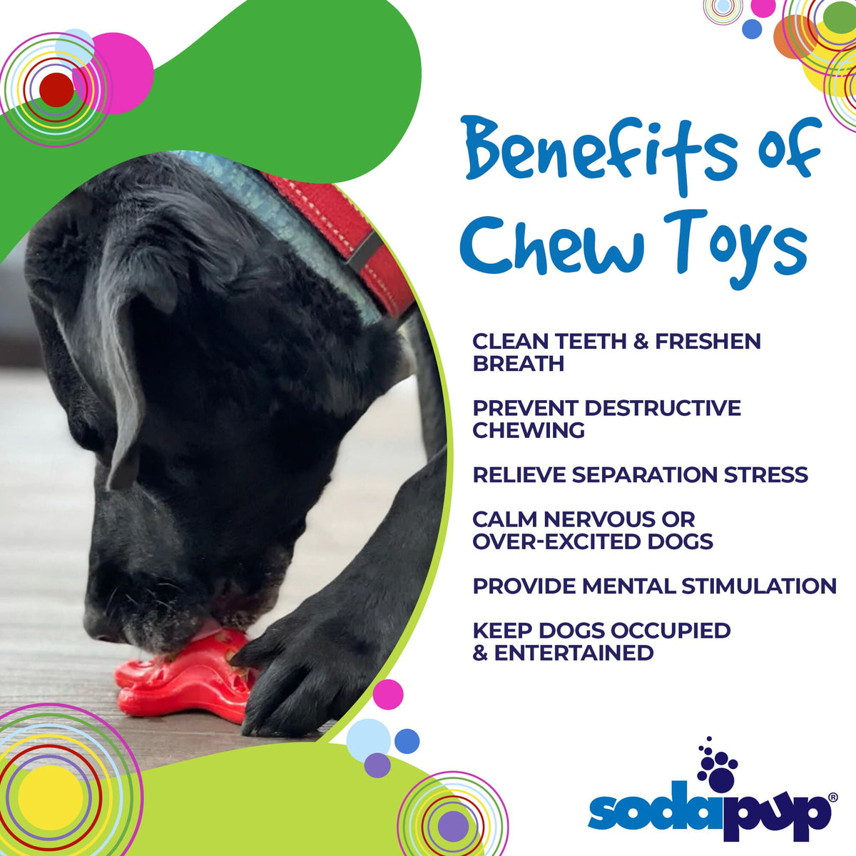 Starfish Nylon Dog Chew Toy for Aggressive Chewers | USA Made | SodaPup