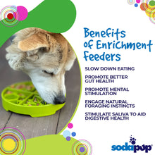 Four Seasons eTray - Shallow Slow Feeder Dog Bowl for Enrichment | USA Made