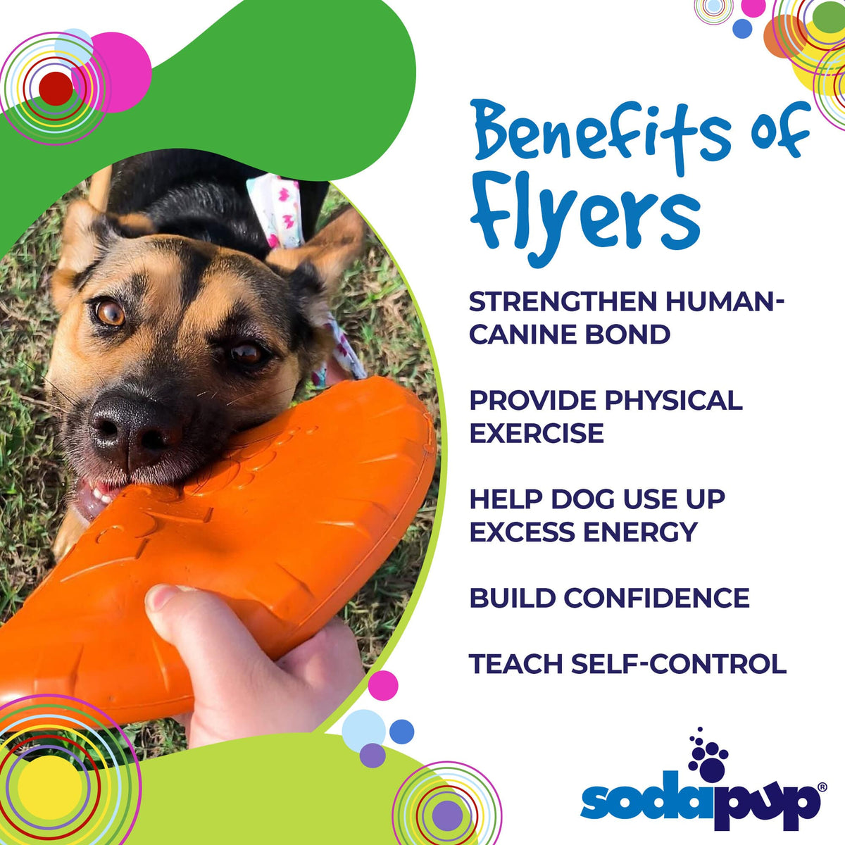 Bottle Top Flyer Rubber Frisbee for Dogs | Orange | Vet Approved | USA Made