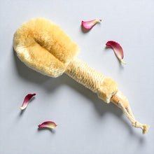 Sisal dry brush