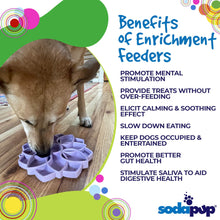 Mandala Softie eTray Shallow Slow Feeder Dog Bowl with Suction Cups |  USA Made