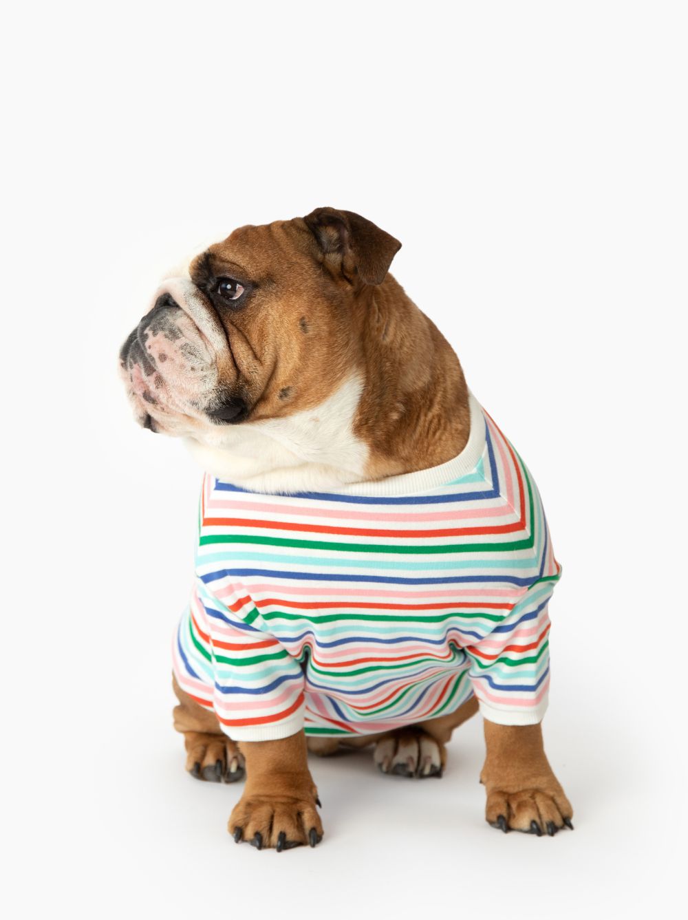 Happy Days Pullover matching adult & pet apparel detail 4