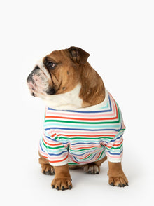 Happy Days Pullover matching adult & pet apparel detail 4