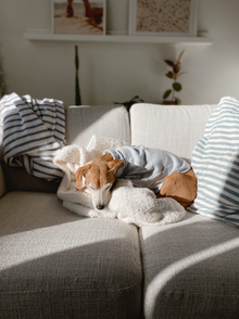Hamptons Set matching adult & pet apparel detail 11
