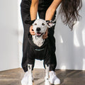 Fleece Hoodie (Dog)
