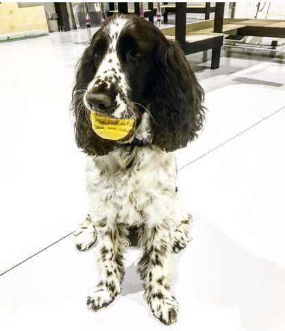Industrial Dog Ball Rubber Chew Toy for Heavy Chewers | Yellow | USA Made | SodaPup