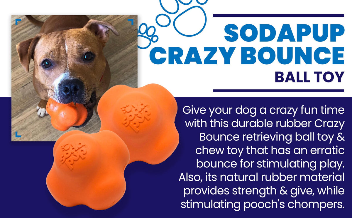 Crazy Bounce Rubber Dog Chew Toy for Power Chewers | Retrieving Ball | USA Made