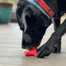 Starfish Nylon Dog Chew Toy for Aggressive Chewers | USA Made | SodaPup