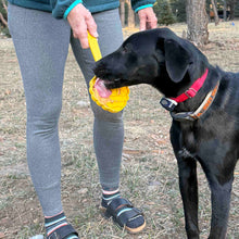 eStick Hand-Held Dog Enrichment Target Training Toy - Interactive Lick Stick | USA Made