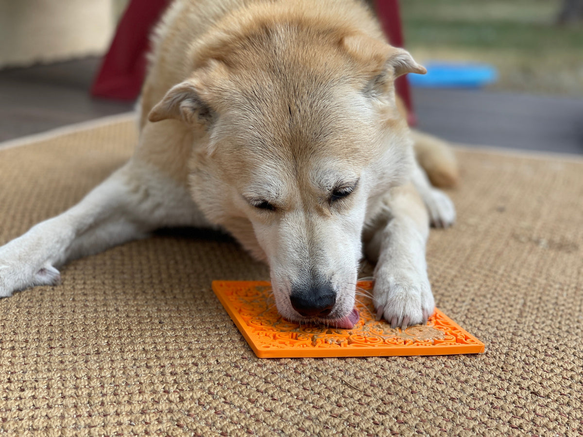 Zombie eMat - Enrichment Lick Mat for Dogs and Cats | Halloween Skull Design | SodaPup