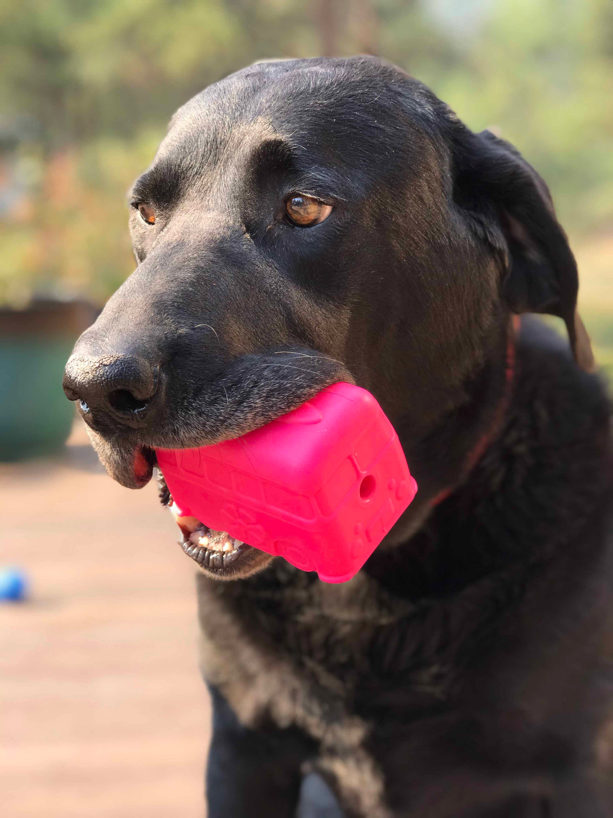 Surf's Up Retro Van Dog Toy - Durable Chew Toy for Large Dogs | USA Made