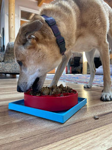 Hold 'em Suction Cup Holder for Dog Bowls & Lick Mats | USA Made