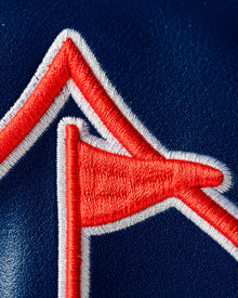 USA 250 - Driver Cover, product image 9