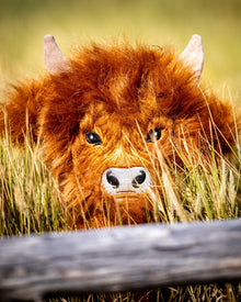 Highland Cow - Driver Cover, product image 3