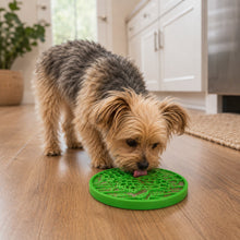 Water Nylon eCoin Durable Enrichment Snacking Coin for Dogs | USA-Made Lick Mat Alternative