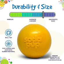 Squeak Ball - Durable Squeaky Dog Toy, Floats, Chew Toy | USA Made