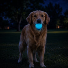 Strobe Ball Light-Up Dog Toy - Durable Floating Chew Ball | Made in USA