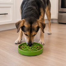Garden Design eTray - Shallow Slow Feeder Dog Bowl for Enrichment | USA