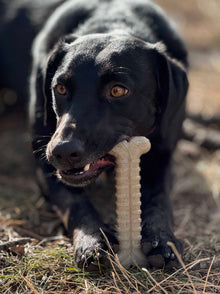 Tough Bone Nylon Chew Bone | Ultra-Durable Dog Toy for Aggressive Chewers | SodaPup