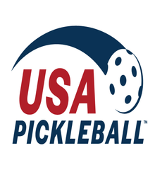 Hex Pro Performance STRYKER Cyon Blue Pickleball Paddle pickleball product, supplier image 3