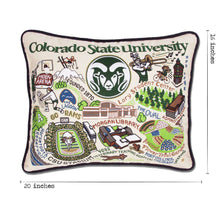 Colorado State University Collegiate Embroidered Pillow by CatStudio