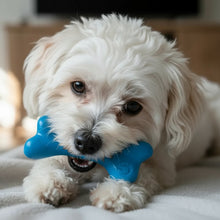 PUP-X Rubber Bone Dog Toy - Durable, Floats, Chew Toy for Large Dogs | USA
