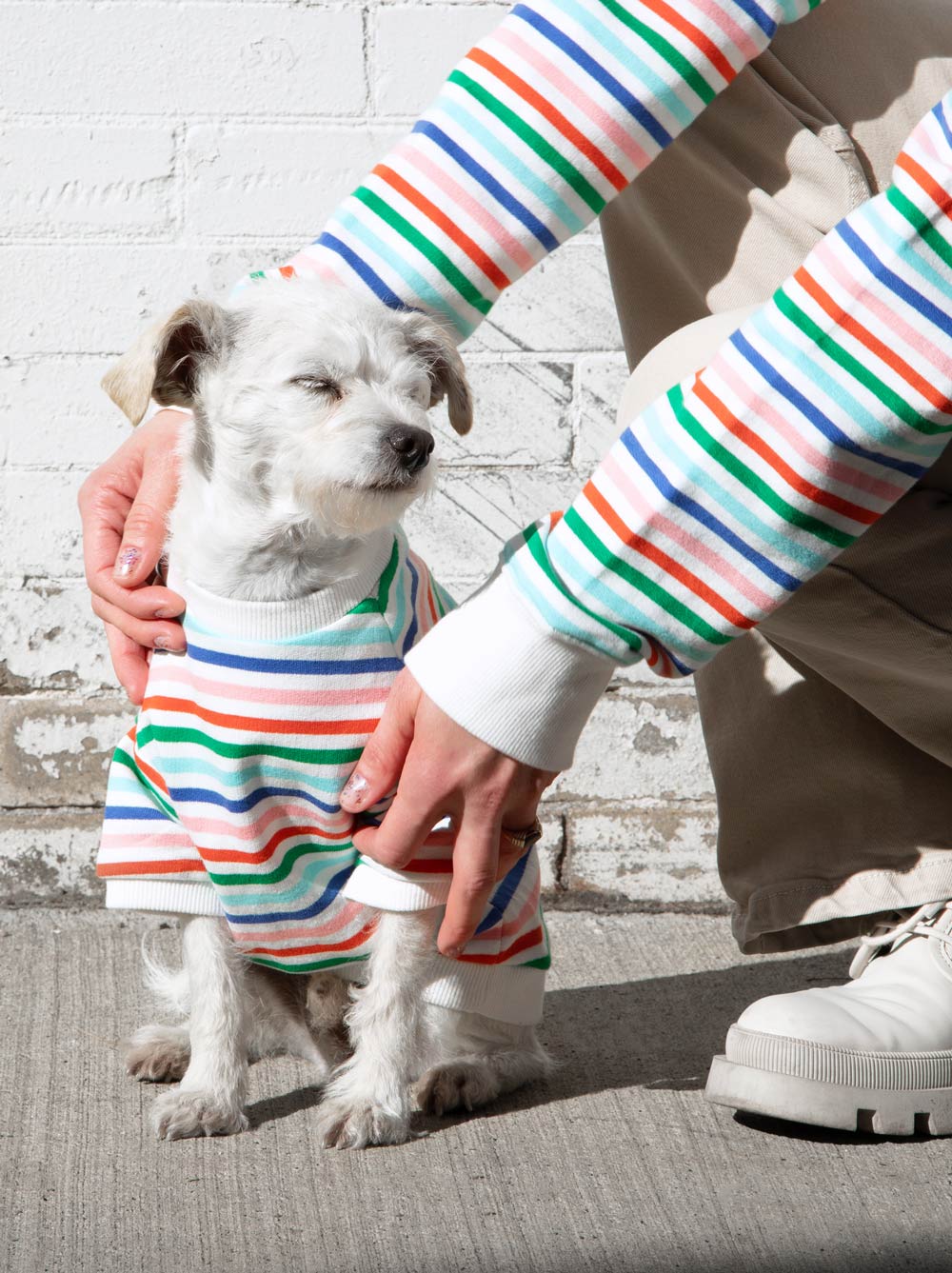 Happy Days Pullover matching adult & pet apparel