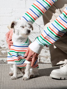 Happy Days Pullover matching adult & pet apparel