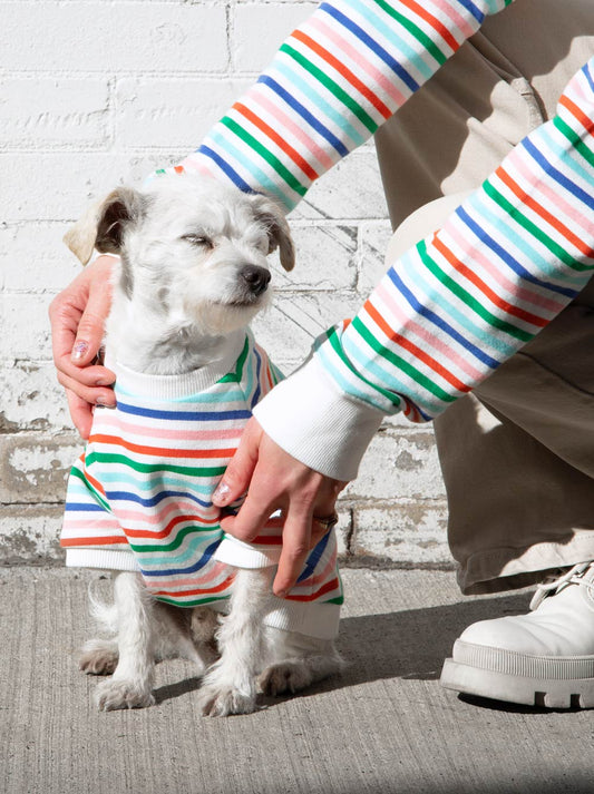 Happy Days Pullover matching adult & pet apparel
