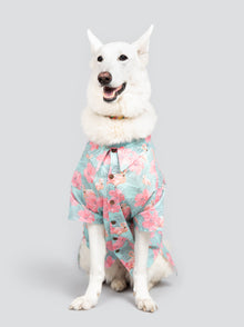 Washed Out BBQ Shirt matching adult & pet apparel detail 2