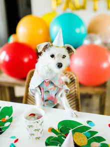 Washed Out BBQ Shirt matching adult & pet apparel detail 4