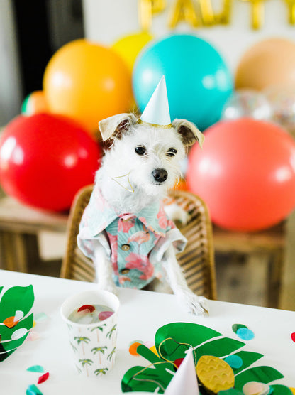 Washed Out BBQ Shirt matching adult & pet apparel detail 4