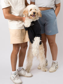 Embroidered Tee pet apparel detail 6