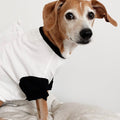 Classique Baseball Tee (Only Dog Sizes Left)