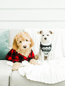 Cabin Sweater matching adult & pet apparel detail 3