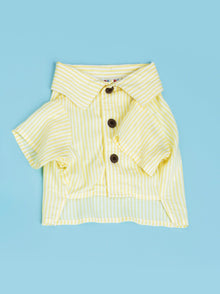 Nantucket Set matching adult & pet apparel detail 2