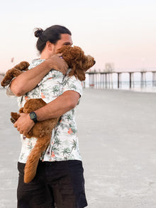 Sail Away BBQ Shirt matching adult & pet apparel detail 7